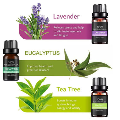 Transform Your Space into a Serene Sanctuary